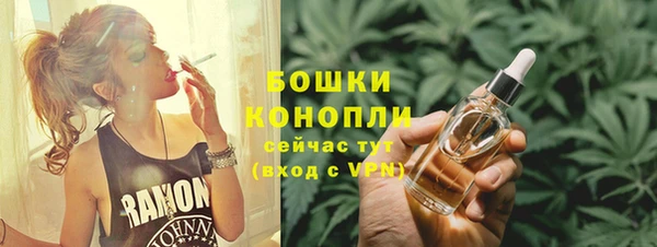 шишки Алзамай