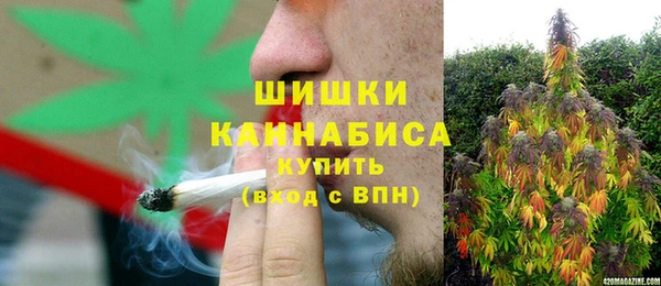 шишки Алзамай