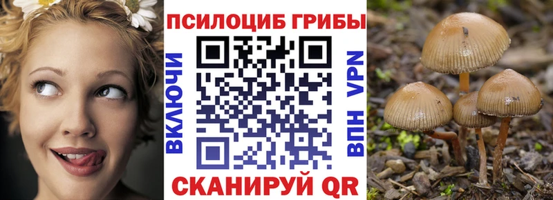 Галлюциногенные грибы GOLDEN TEACHER  ОМГ ОМГ tor  Елабуга  купить закладку 